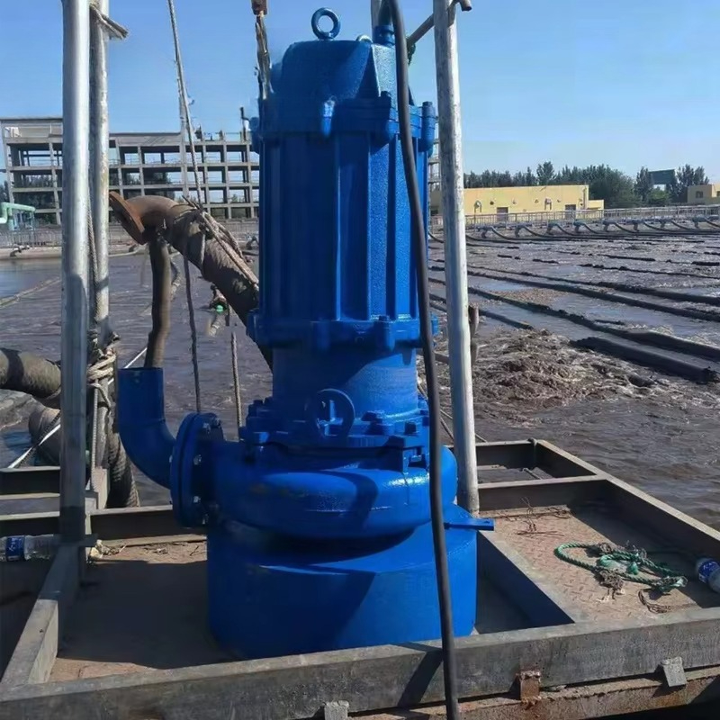 Große hydraulische Tauchpumpe  – Submersible Pump Sewage Bewertung und Preis