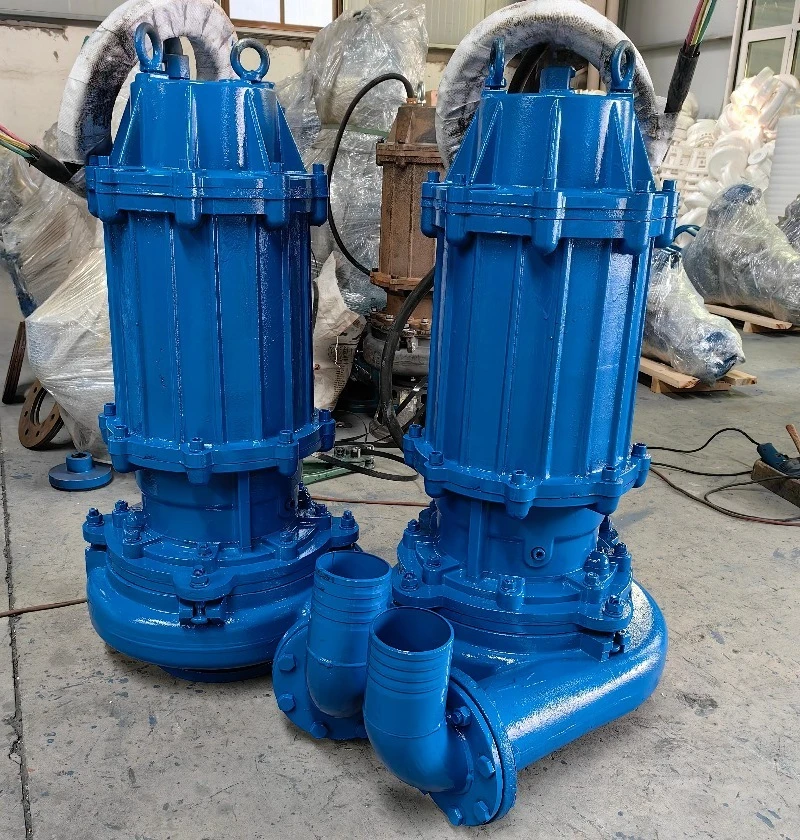 Tauchfähige Schlammpumpe mit S – Submersible Pump Sewage Bewertung und Preis