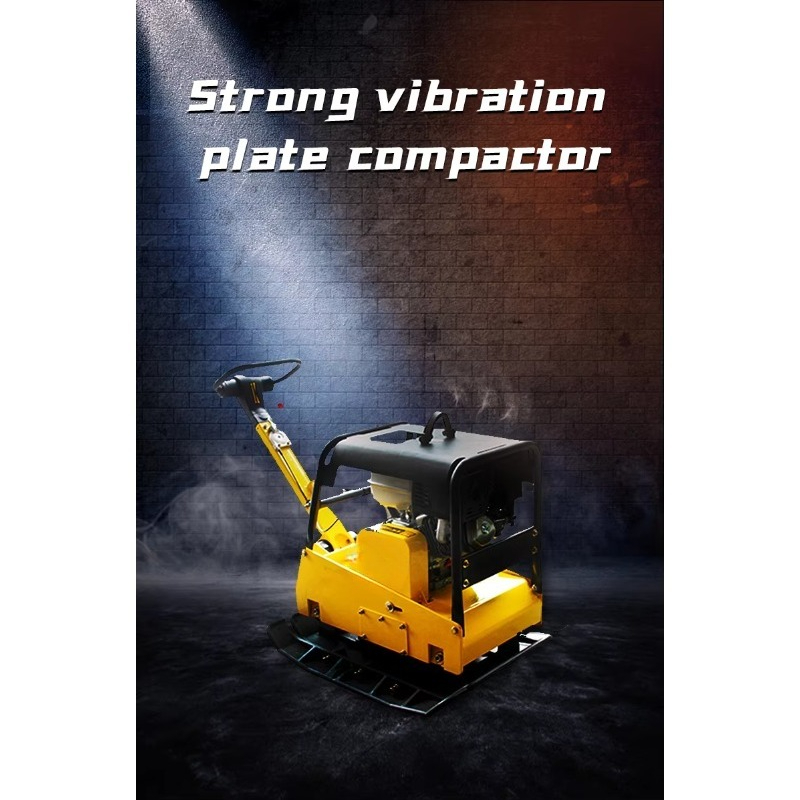 Tragbarer, umkehrbarer, vibrie – Plate Compactor Vibrator Bewertung und Preis
